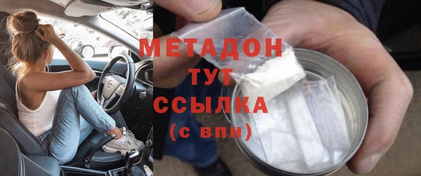 стаф Богданович