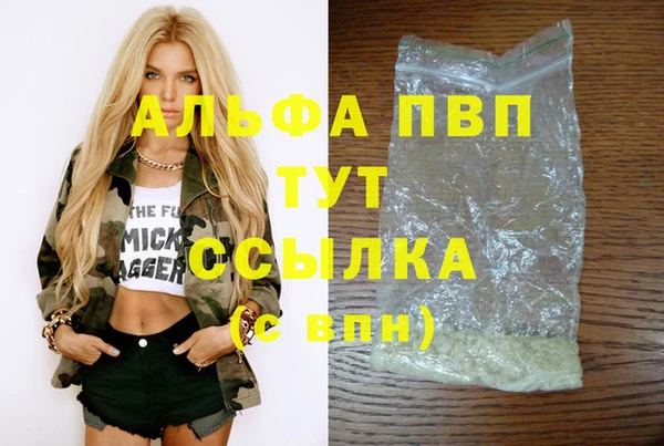 стаф Богданович