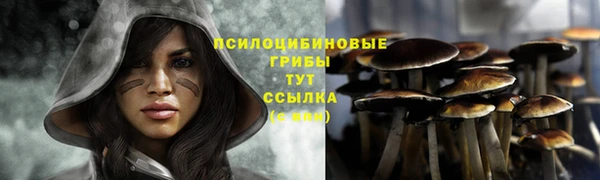 PSILOCYBIN Бронницы