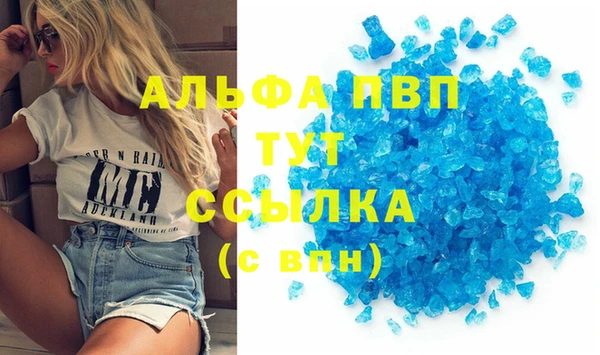 PSILOCYBIN Бронницы