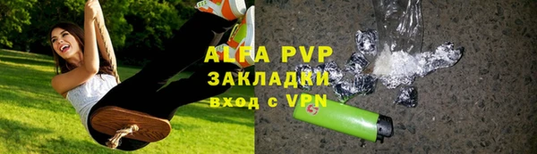 стаф Богданович